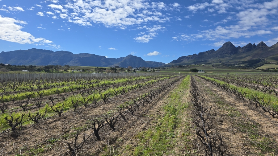 Commercial Property for Sale in Stellenbosch Farms Western Cape